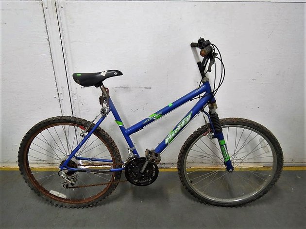 Image for Hidden Treasures Gallery