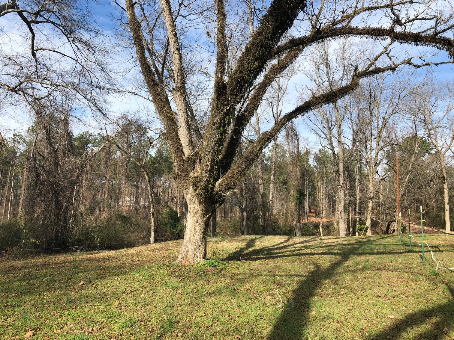 Image for Warm Springs, GA: 3BR/1BA Restored Farmhouse and 2BR/1.5BA Custom Log Cabin on 68.4± Acres at 1101 & 1103 Hudson Rd, Warm Springs, GA 30084  (Meriwether County)