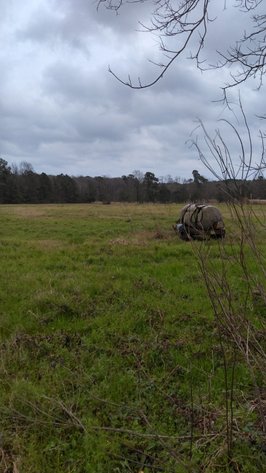 Image for Stamps, AR: Absolute Auction of 10± Acre Tract on CR 26 in Stamps, AR 71860 (Lafayette County)