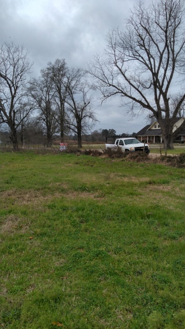 Image for Stamps, AR: Absolute Auction of 10± Acre Tract on CR 26 in Stamps, AR 71860 (Lafayette County)