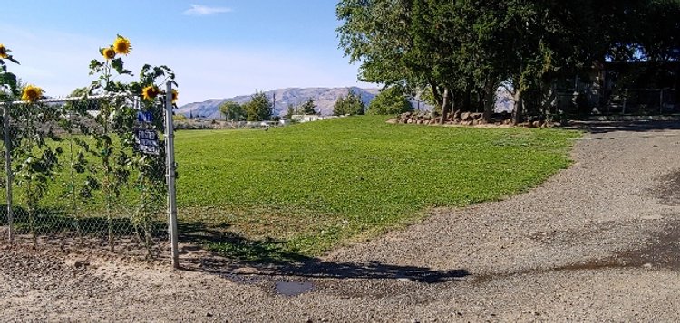 Image for Yakima County, WA: Residential Income Property, Commercial and Land In and Around Tieton and Cowiche