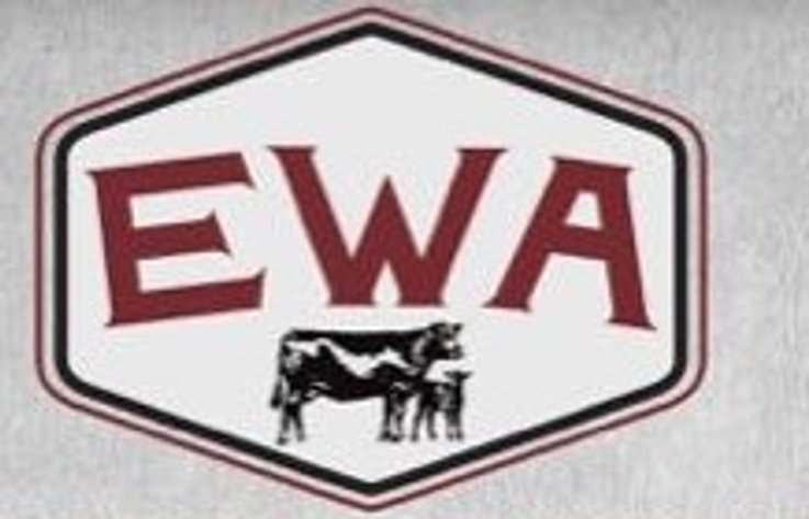 Edgewood Performance Tested Bull Sale