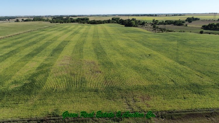 Image for Sac County, Iowa Farm
