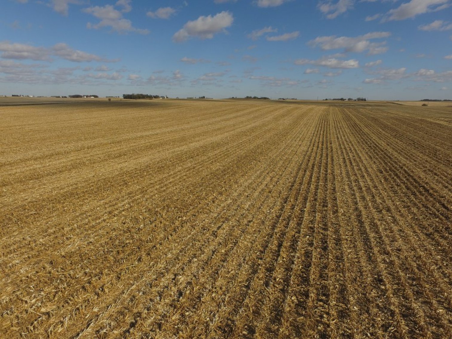 Image for Land Auction Results