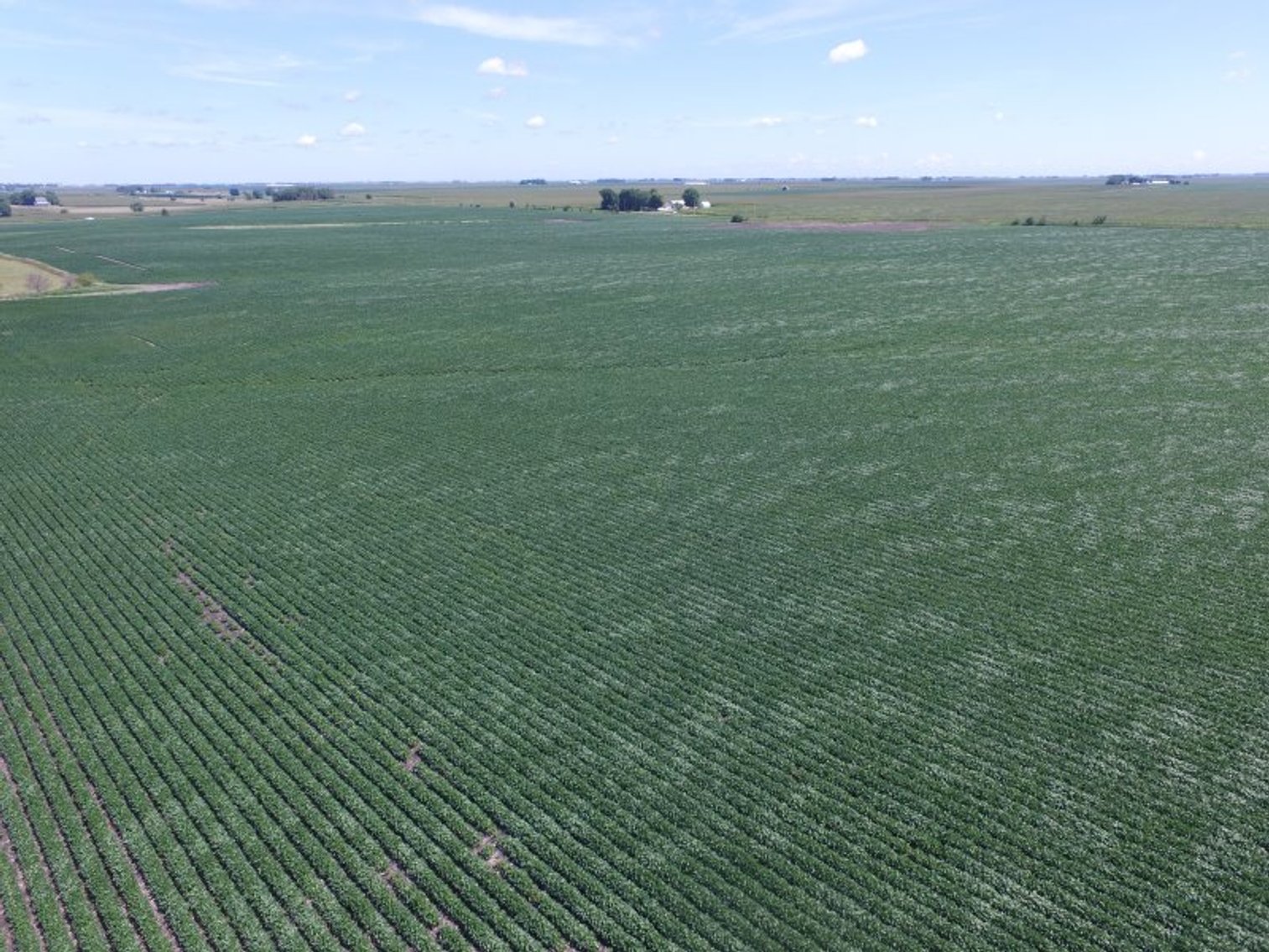 Image for Land Auction Results