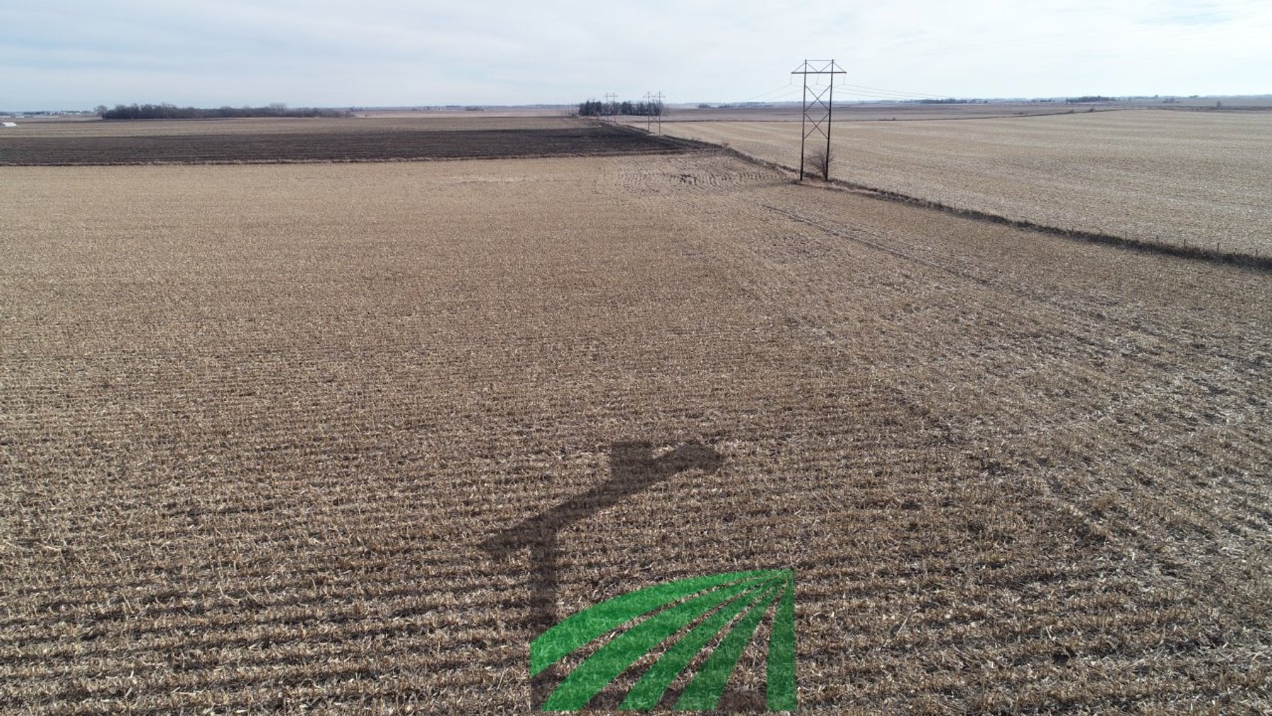 Image for Sac County, Iowa Farmland Auction!