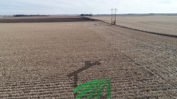 Image for Sac County, Iowa Farmland Auction!
