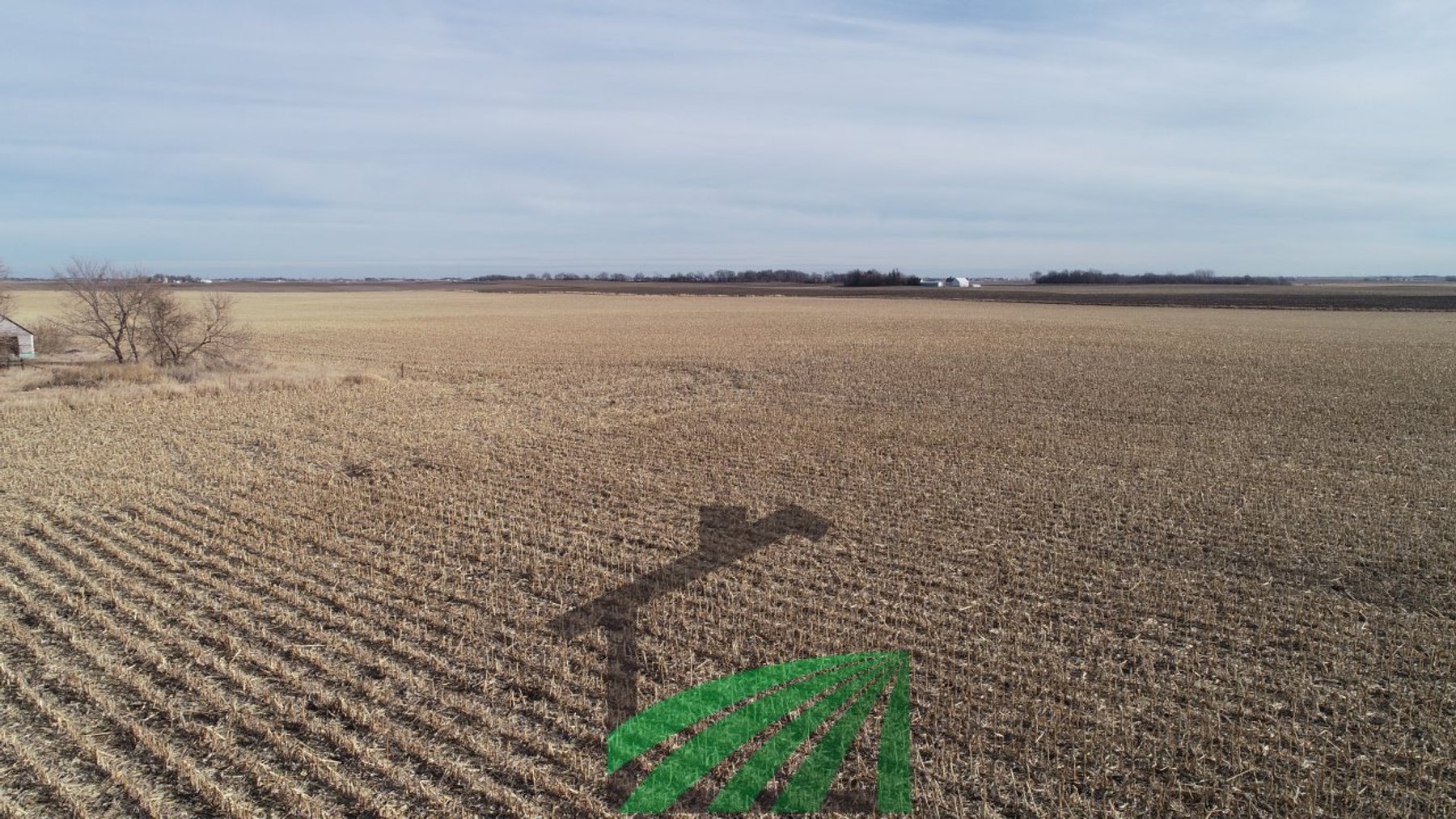 Image for Sac County, Iowa Farmland Auction!