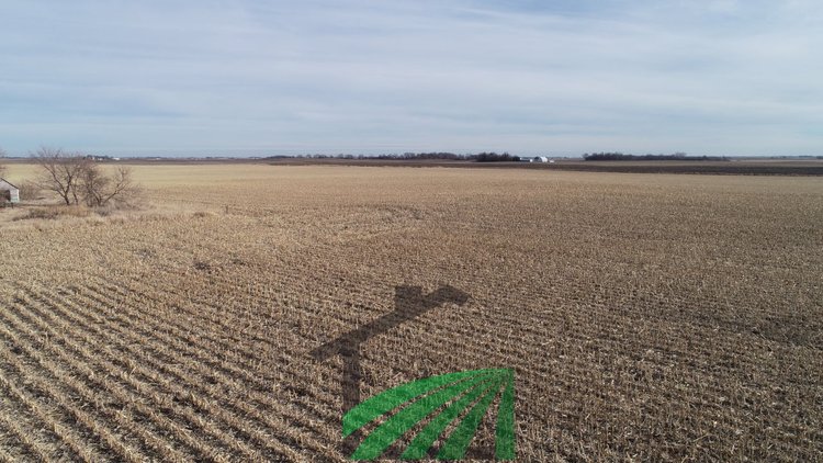 Image for Sac County, Iowa Farmland Auction!