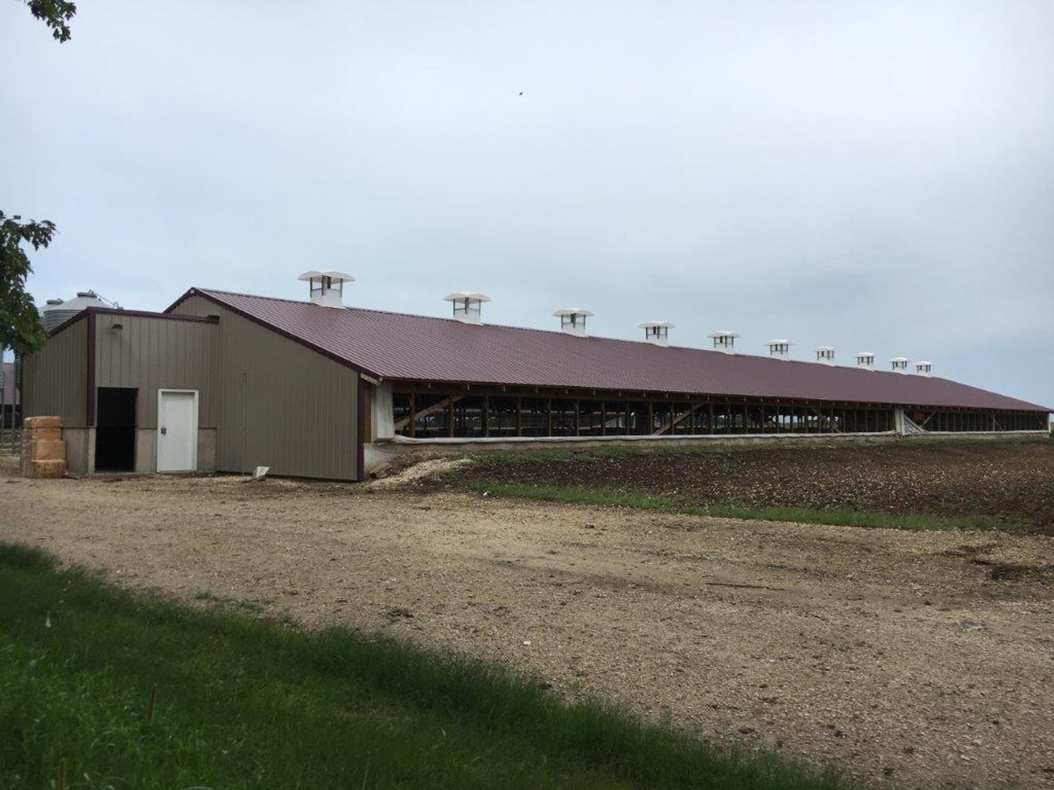 Image for 3300 Head Hog Site and Machinery Auction!