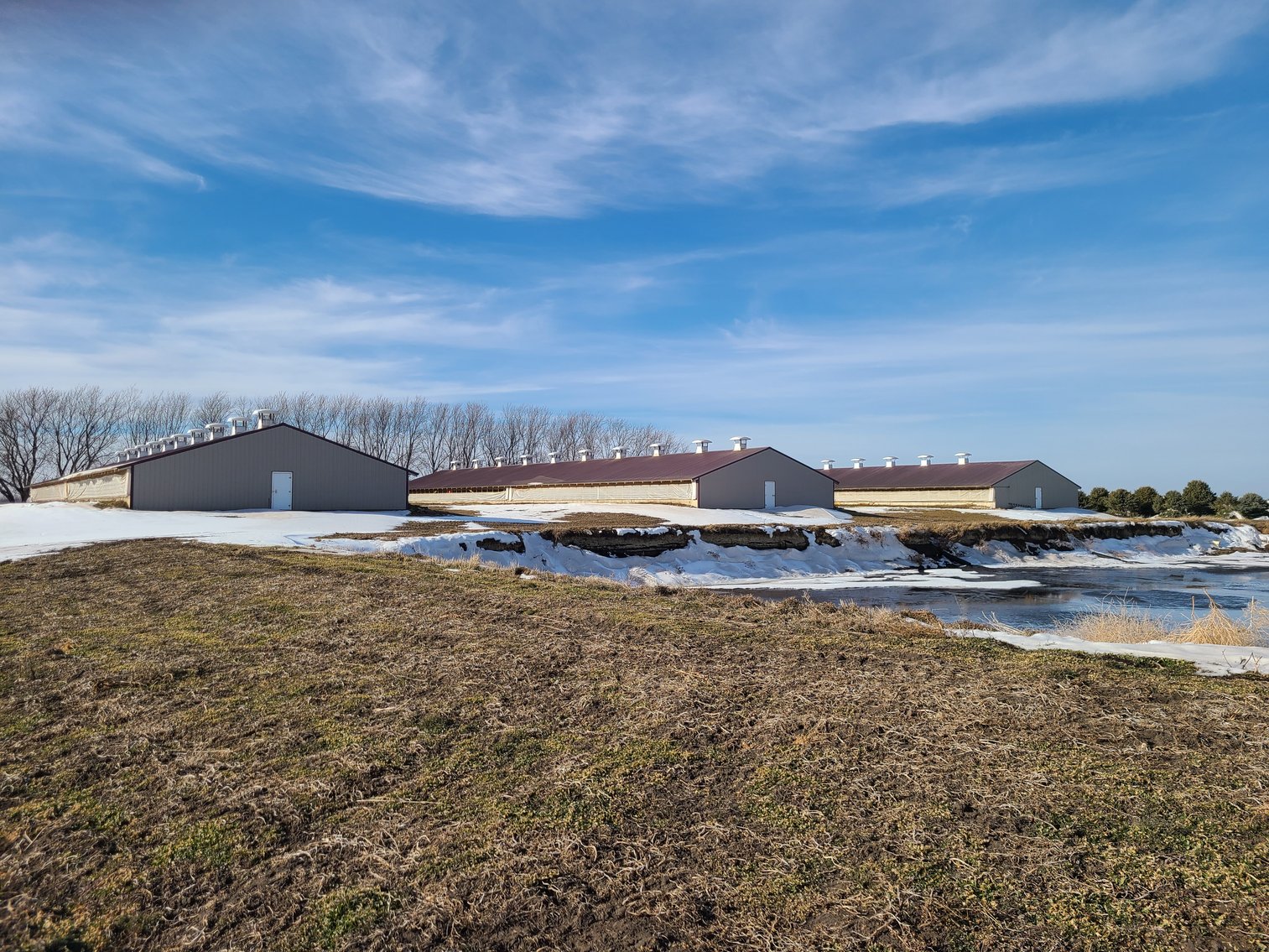 Image for 3300 Head Hog Site and Machinery Auction!