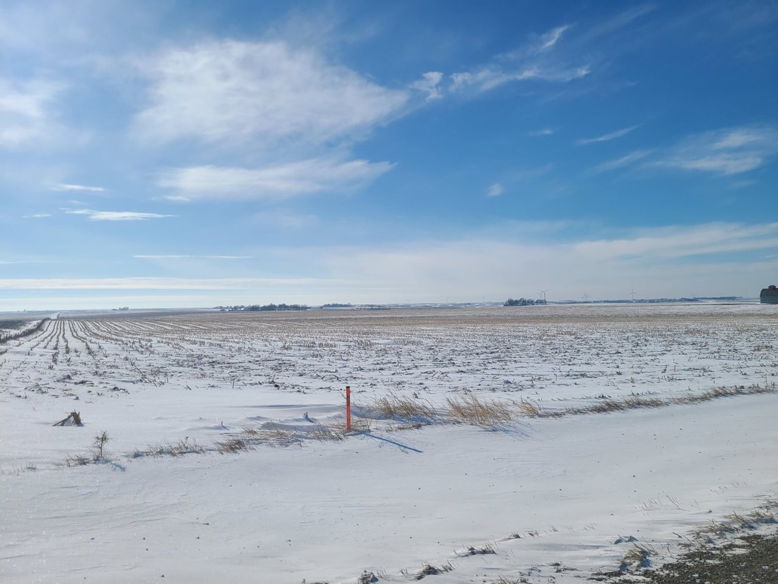 Image for Sac County, Iowa Farmland Auction!