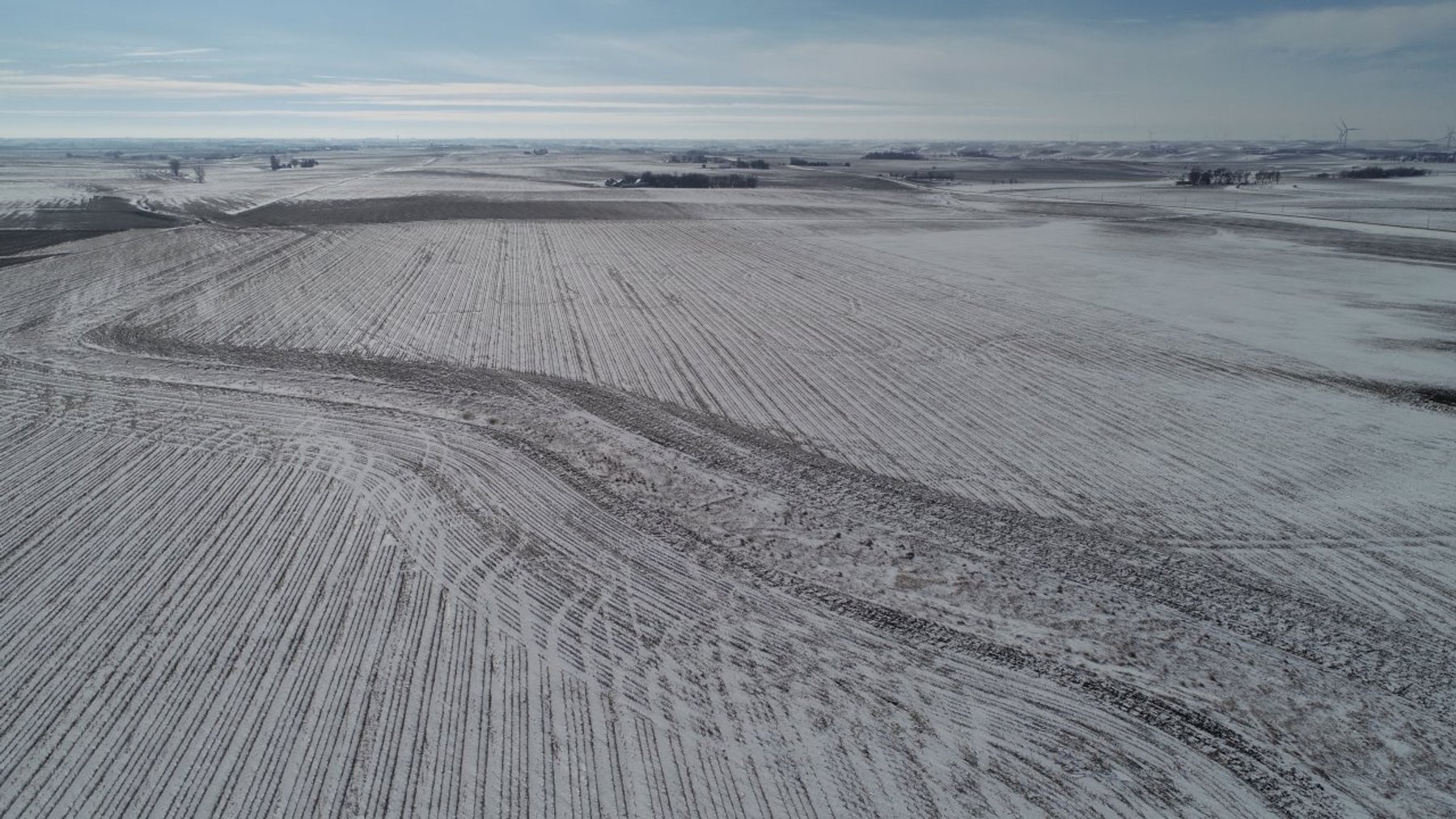 Image for Sac County, Iowa Farmland Auction!