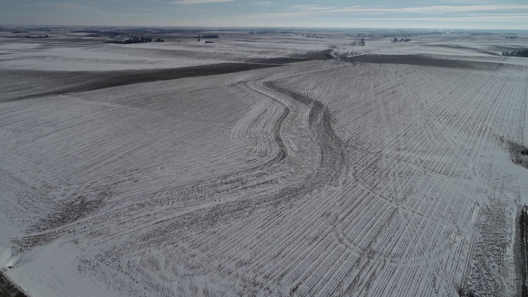 Image for Sac County, Iowa Farmland Auction!