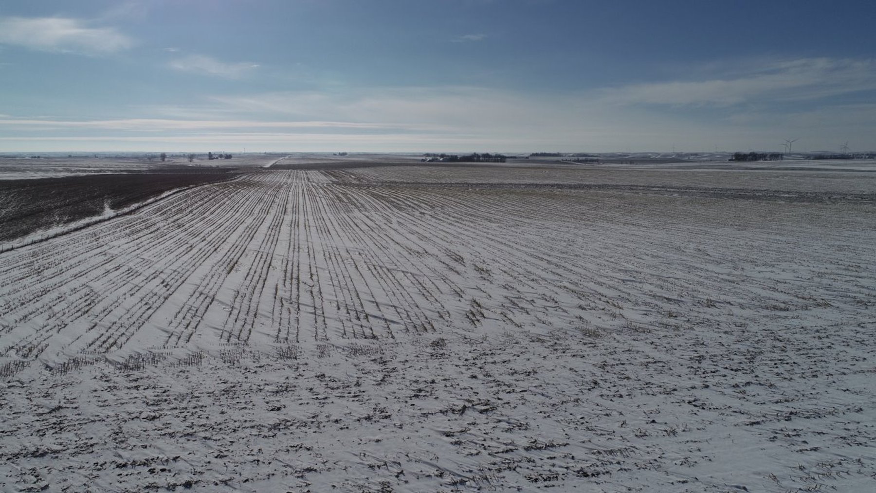 Image for Sac County, Iowa Farmland Auction!