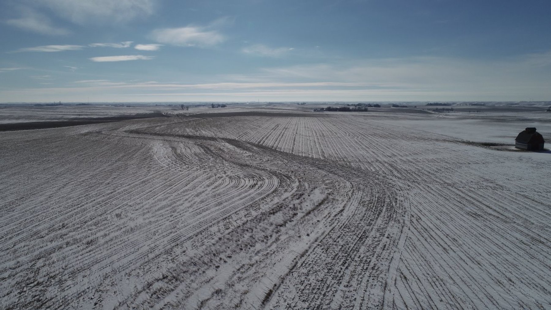 Image for Sac County, Iowa Farmland Auction!