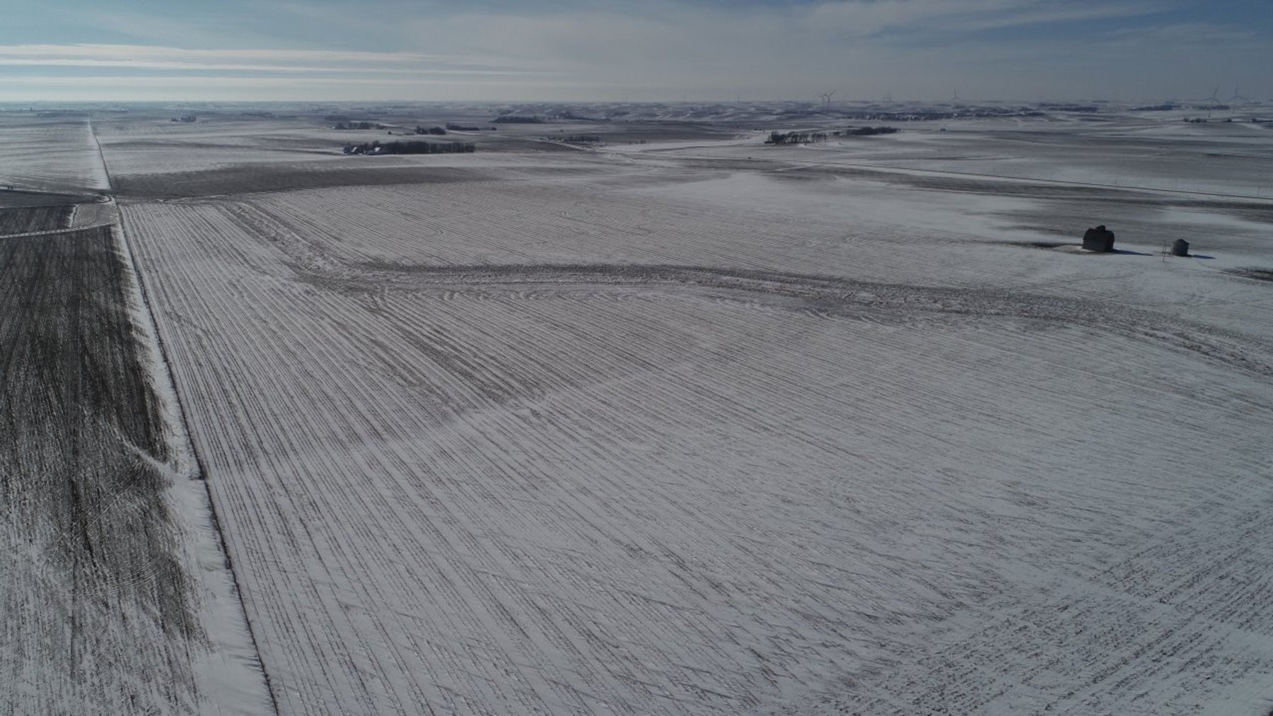 Image for Sac County, Iowa Farmland Auction!