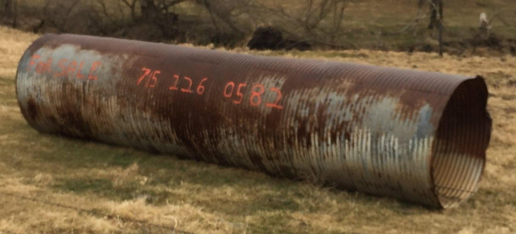 Image for Golden Triangle Consignment Auction