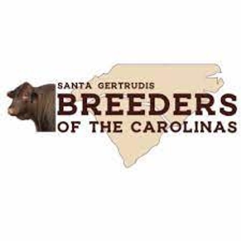 Santa Gertrudis Breeders of the Carolinas