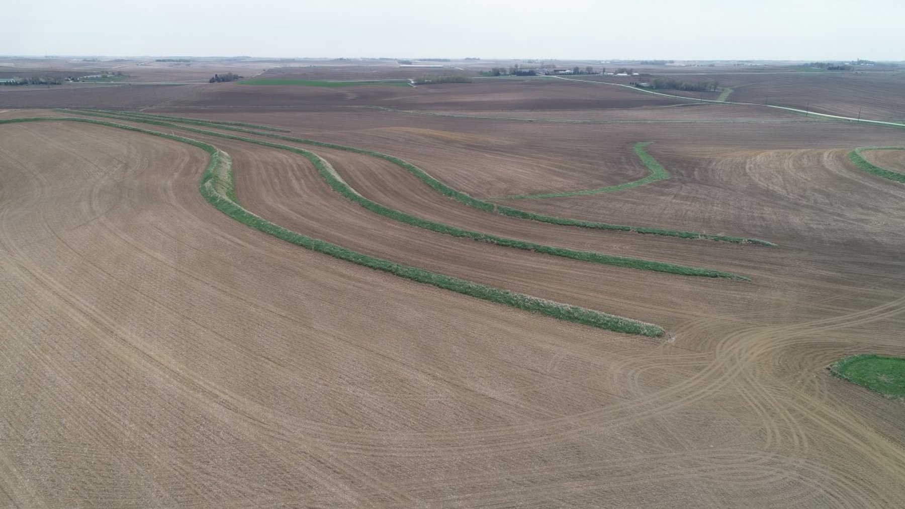 Image for Carroll County Farmland Auction!