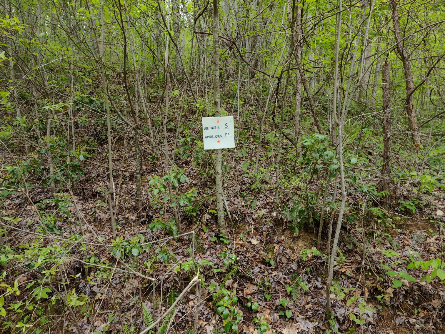 Image for Franklin, NC: 12± Mountaintop Acres in Peaceful Cove Estates, Franklin, NC 28734 (Macon County)