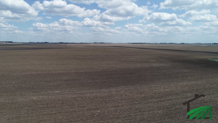 Image for Buena Vista County Farmland Auction!