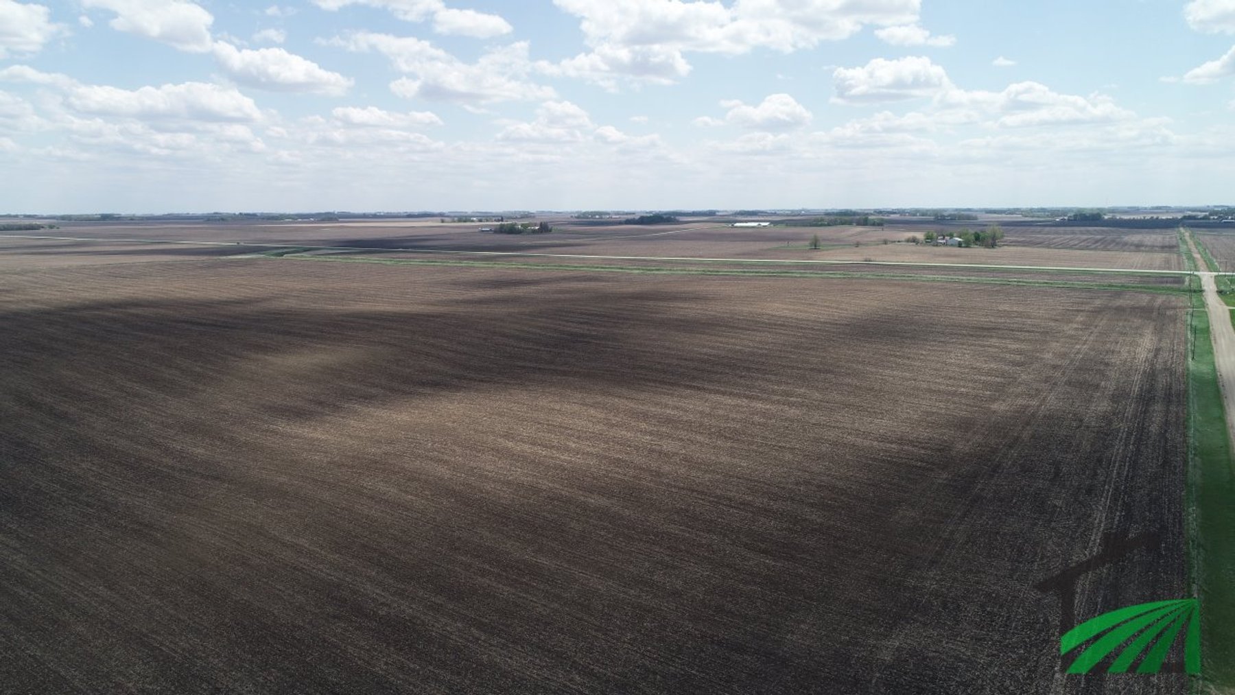 Image for Buena Vista County Farmland Auction!