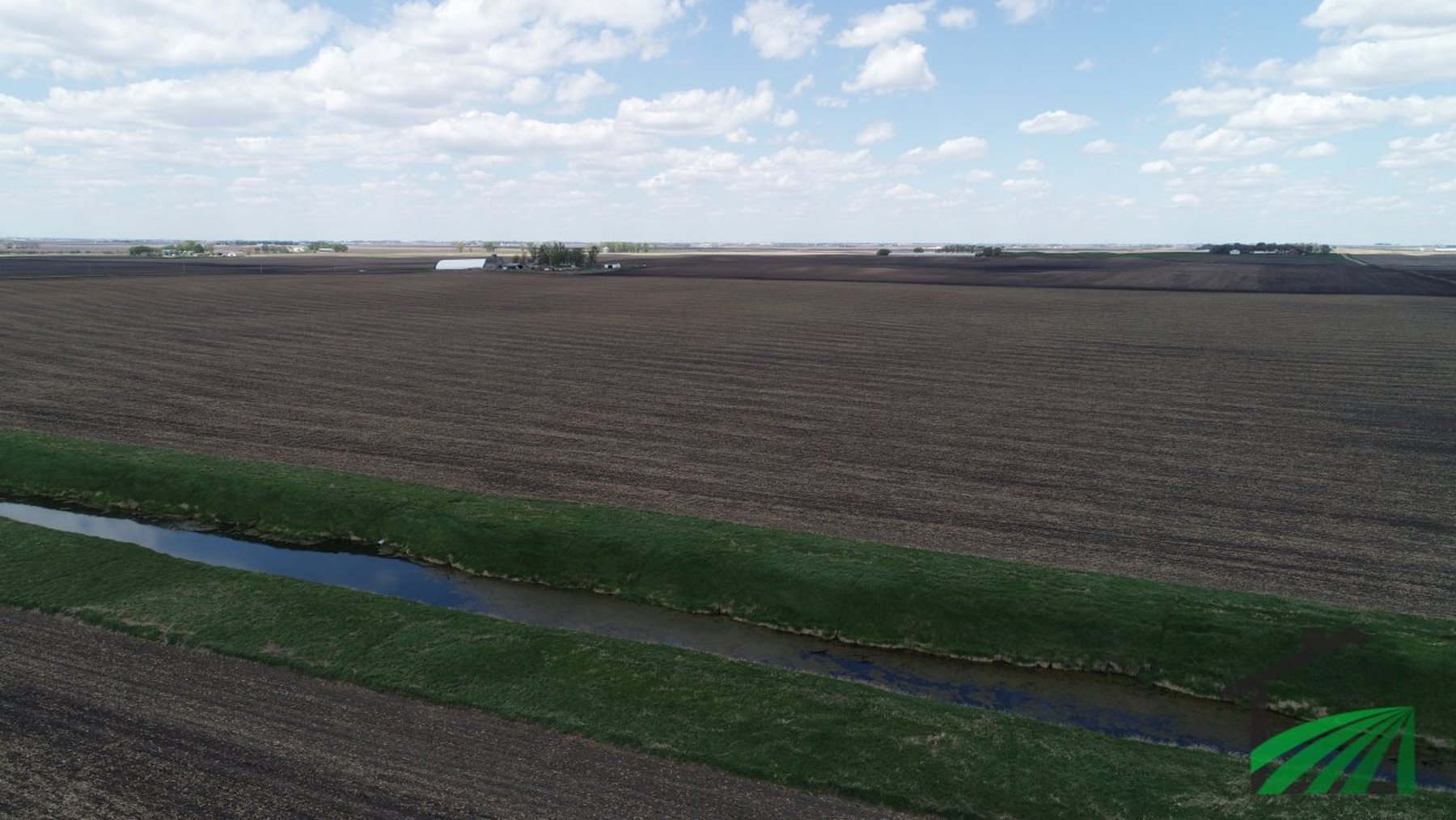 Image for Buena Vista County Farmland Auction!