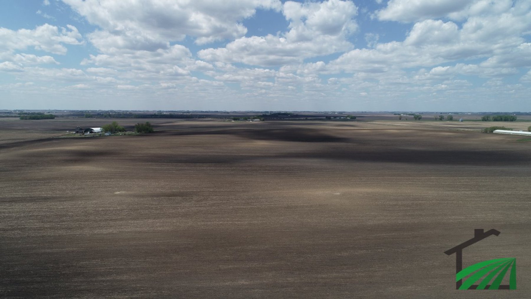 Image for Buena Vista County Farmland Auction!