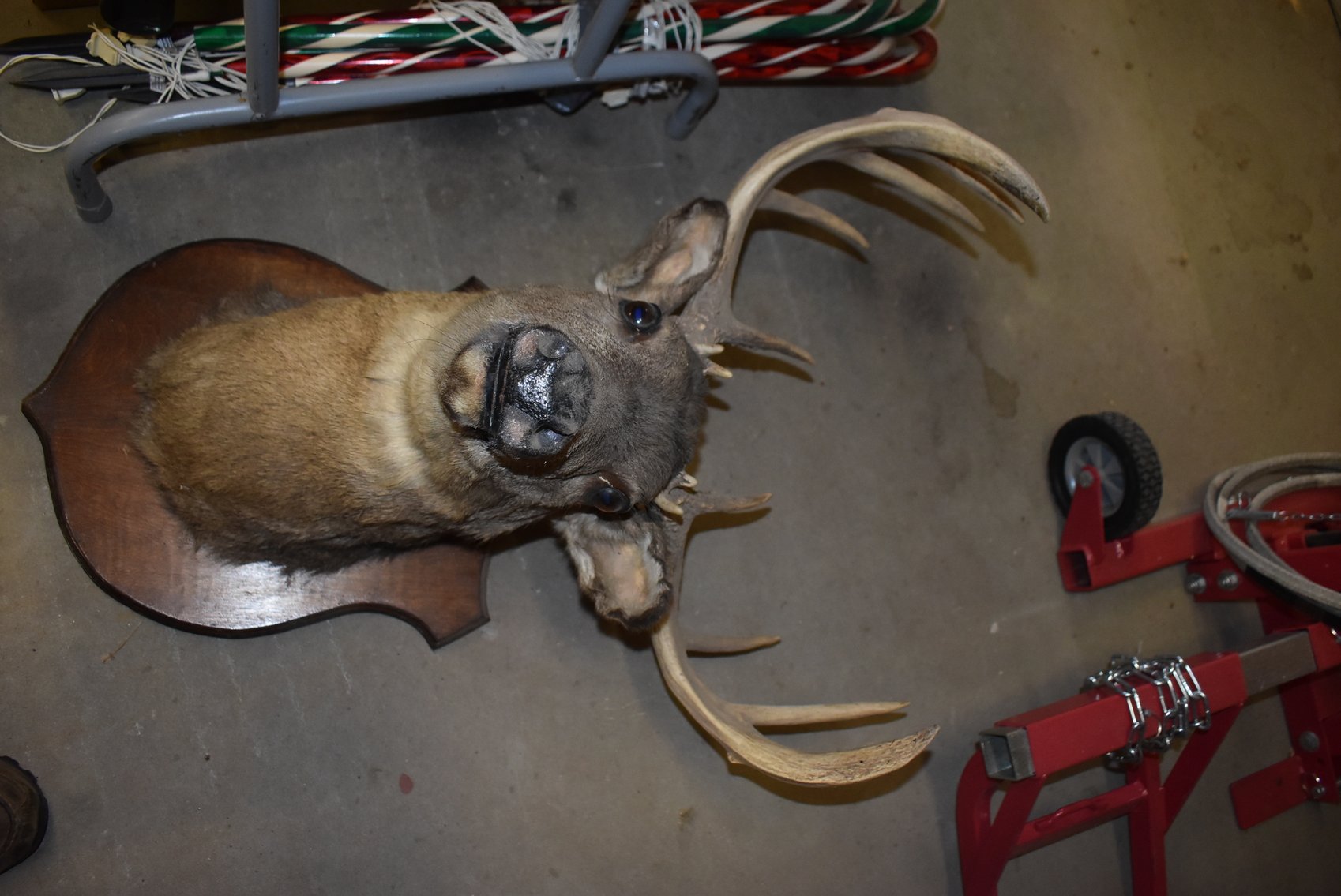 Image for CAR, WOOD WORKING & SHOP TOOLS, GUNS, LAWN & GARDEN AND MORE!!