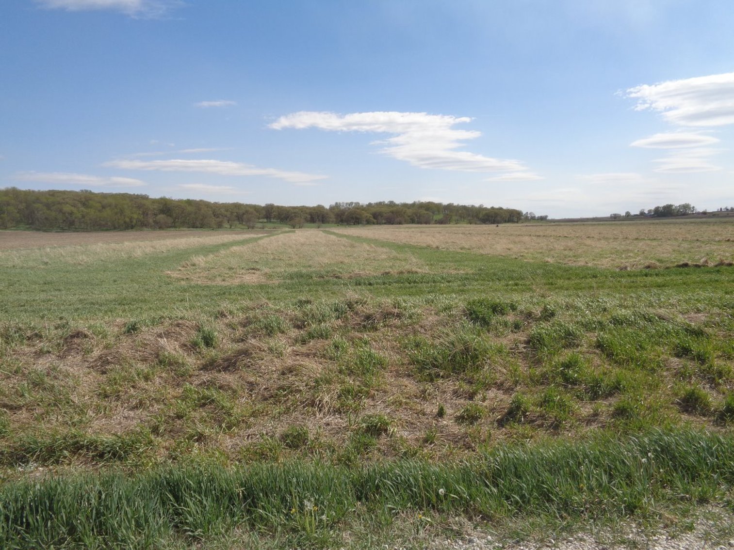 Image for Carroll County, IA Farmland & Acreage