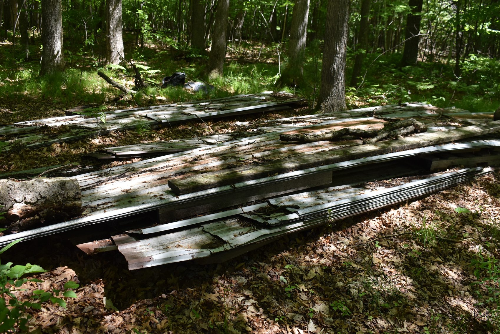 Image for SKID STEER, ATVS, TRAILERS, BOAT, TOOLS & MORE!!!