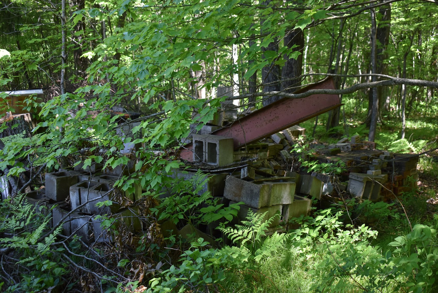 Image for SKID STEER, ATVS, TRAILERS, BOAT, TOOLS & MORE!!!