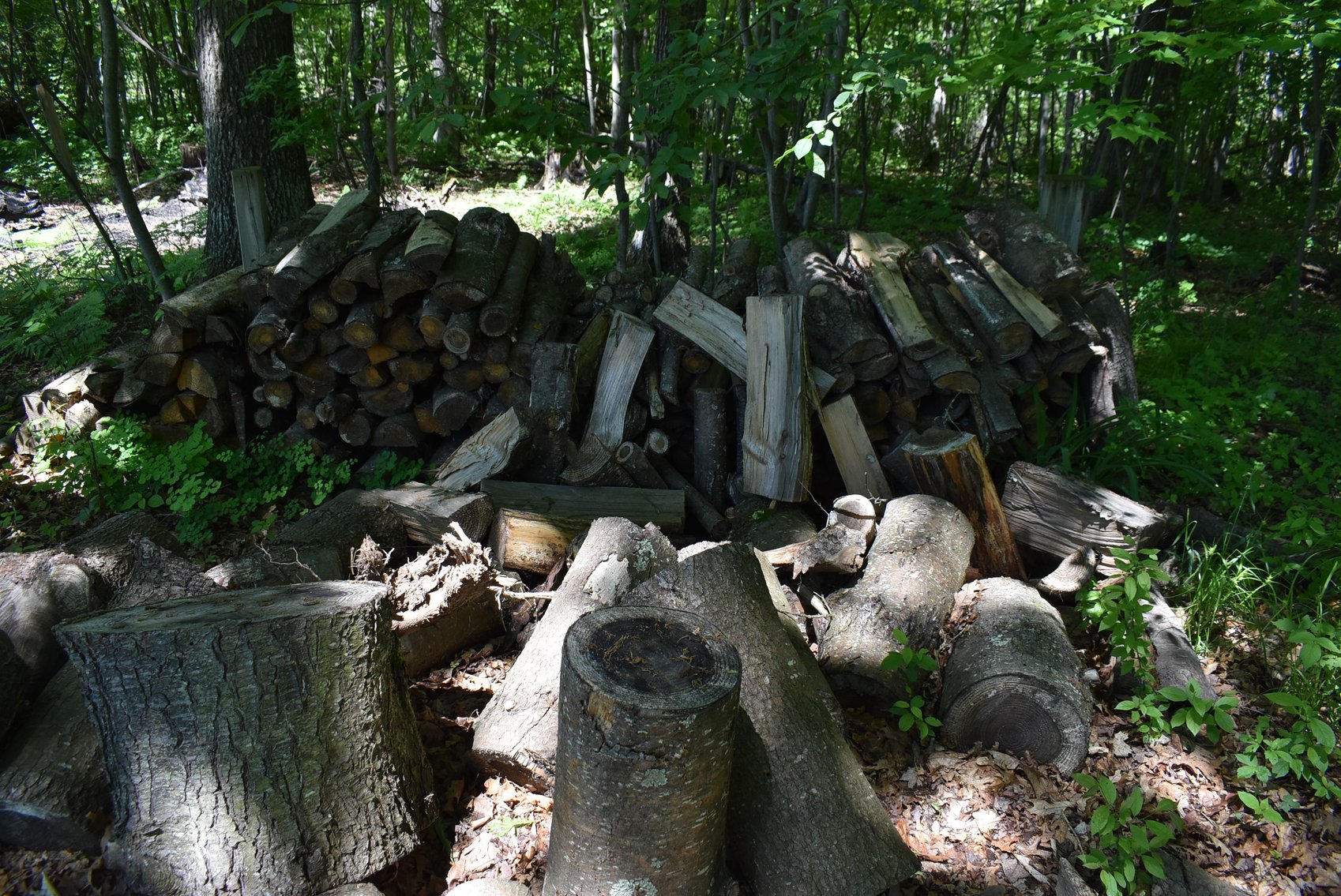 Image for SKID STEER, ATVS, TRAILERS, BOAT, TOOLS & MORE!!!