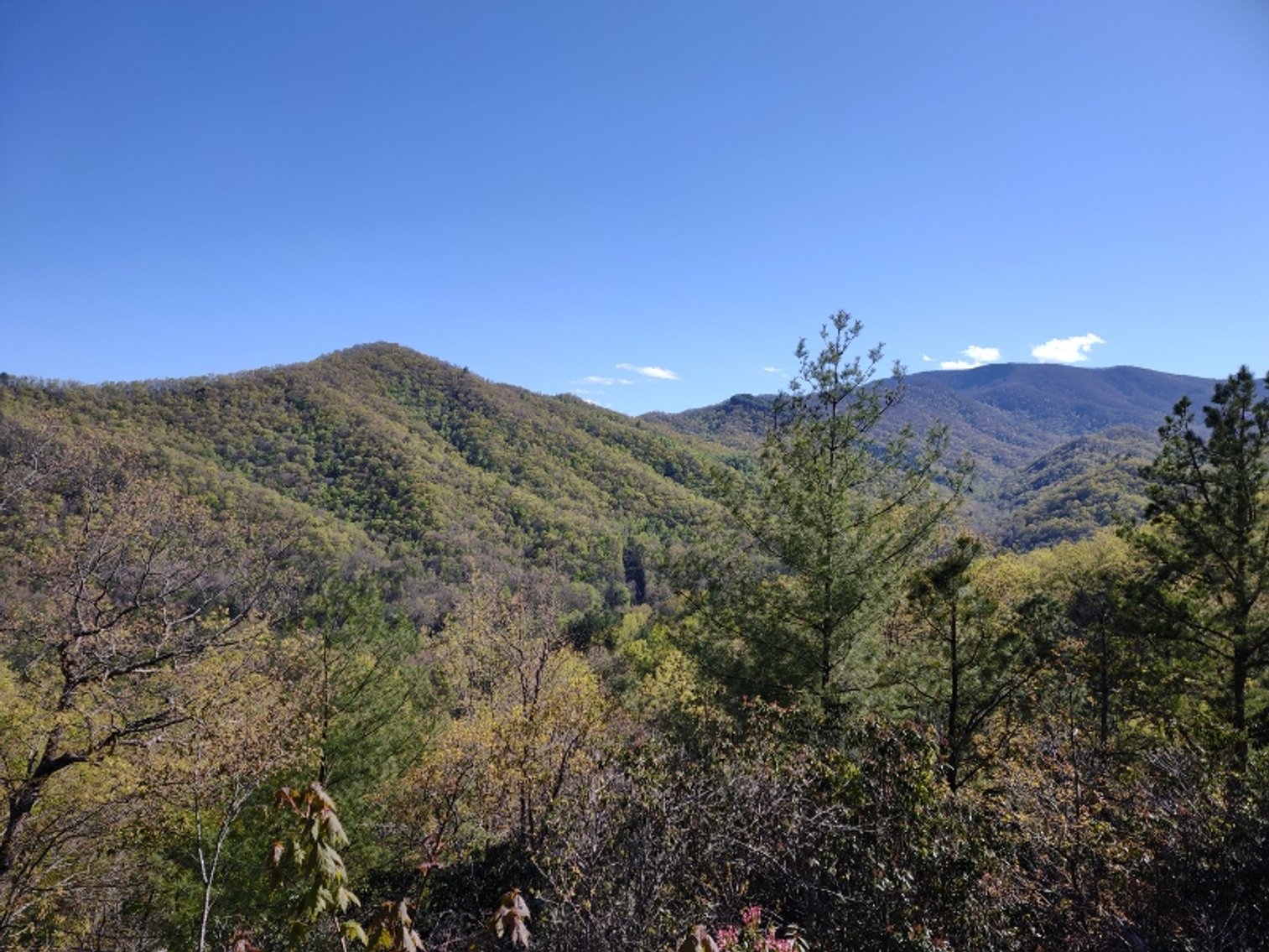 Image for Otto, NC: 10.5± Mountaintop Acres in Heritage Mountain Estates, Otto, NC 28763 (Macon County)