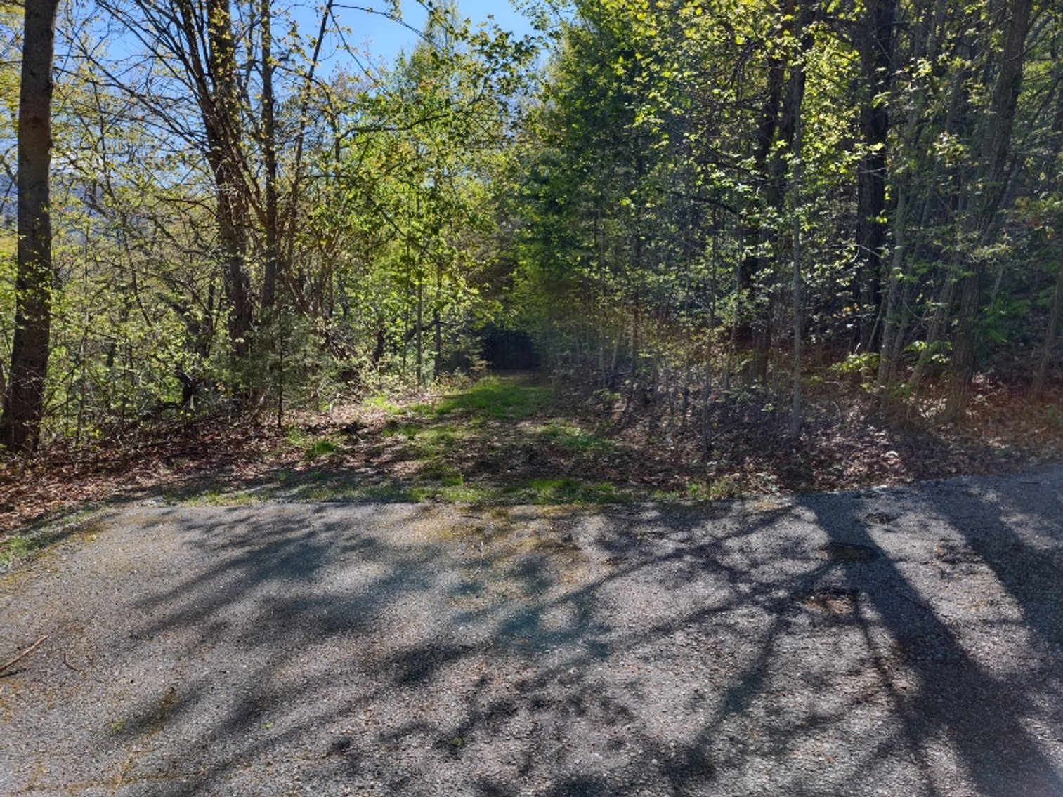 Image for Otto, NC: 10.5± Mountaintop Acres in Heritage Mountain Estates, Otto, NC 28763 (Macon County)