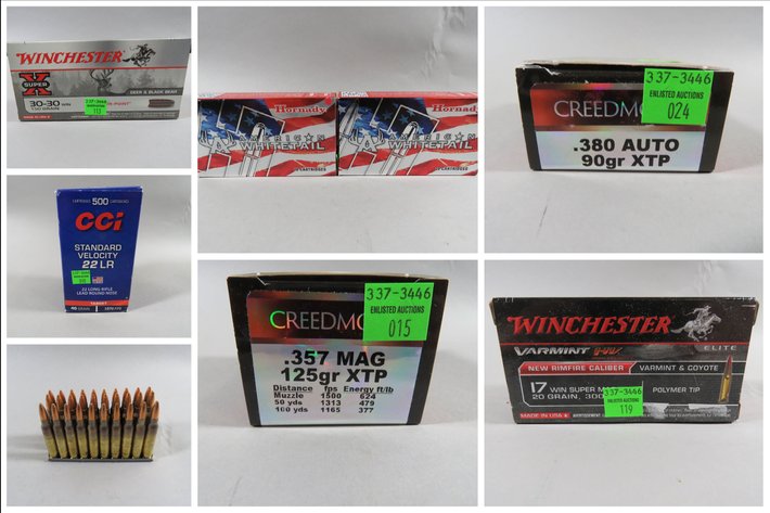 Image for Ammunition and Accessories