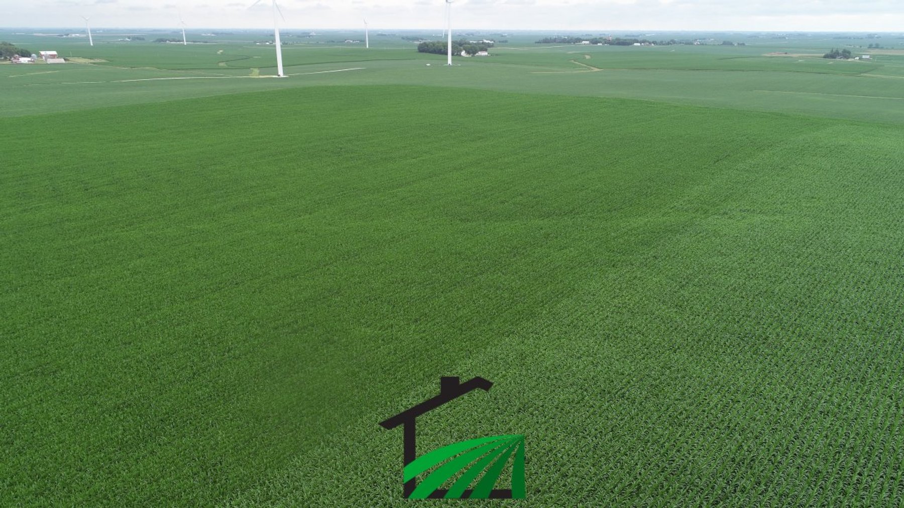 Image for Carroll County, Iowa Farmland Auction