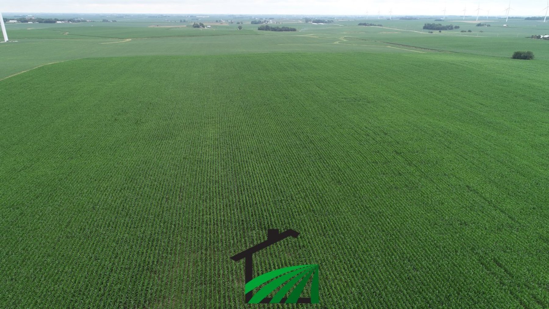 Image for Carroll County, Iowa Farmland Auction