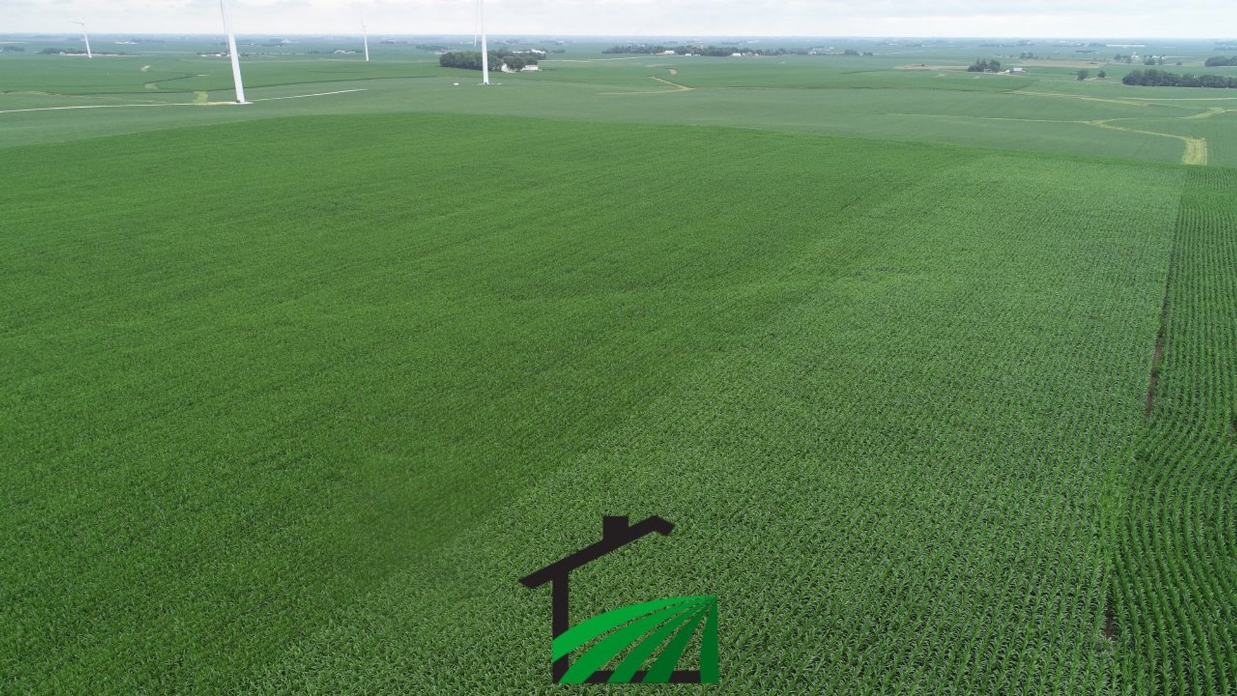 Image for Carroll County, Iowa Farmland Auction