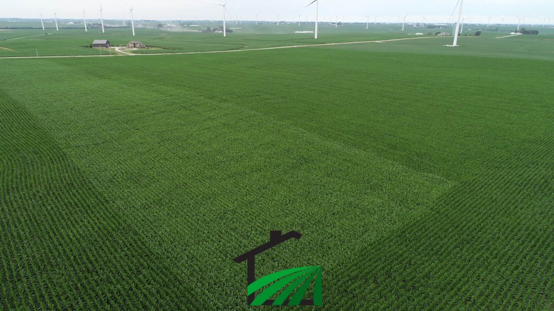 Image for Carroll County, Iowa Farmland Auction