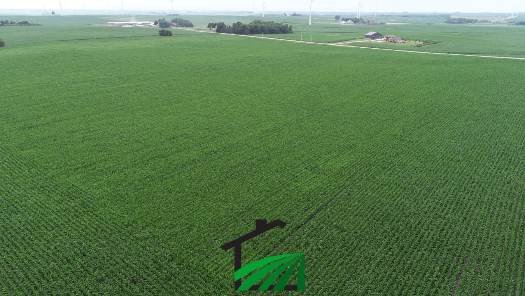 Image for Carroll County, Iowa Farmland Auction