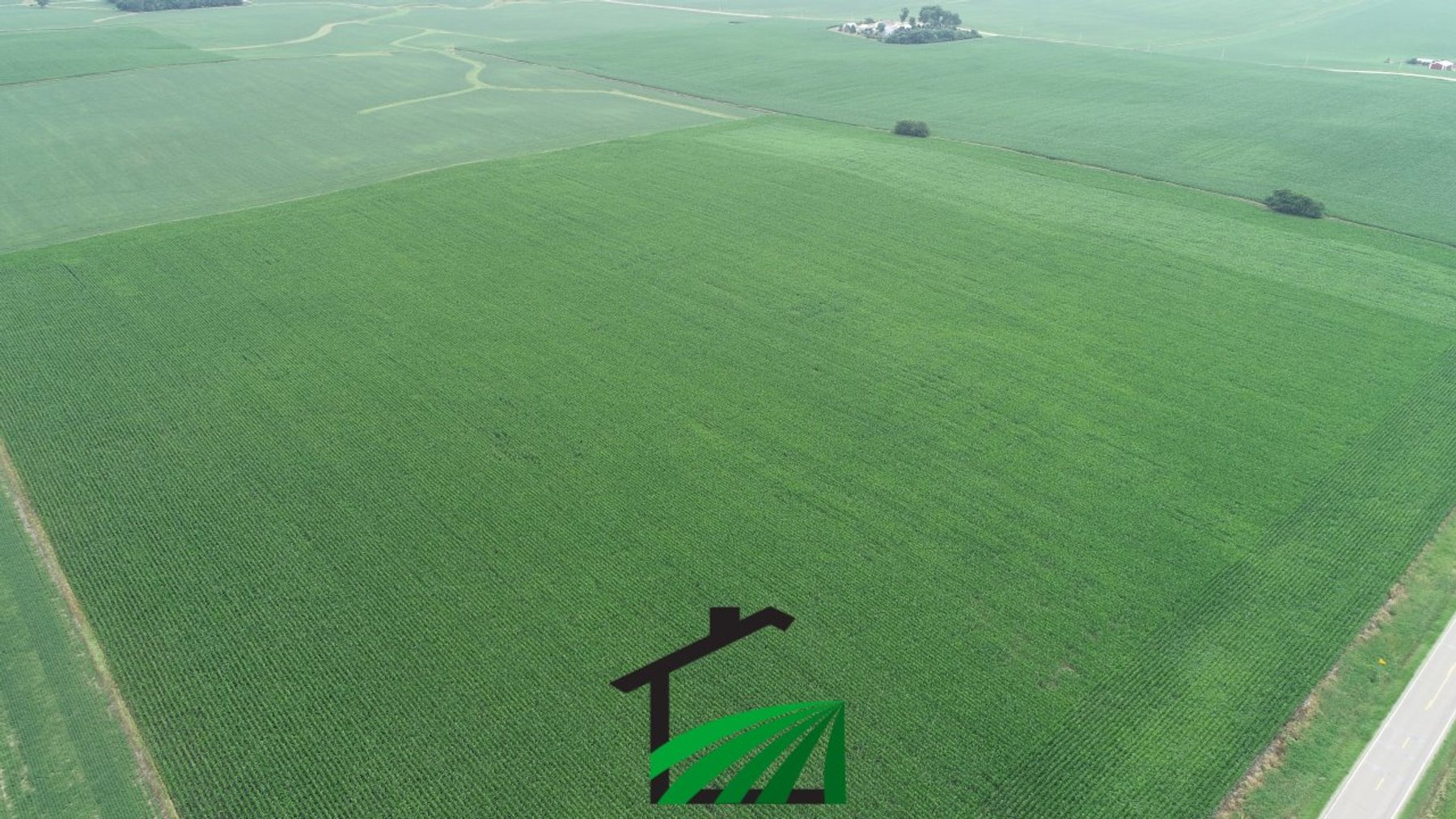 Image for Carroll County, Iowa Farmland Auction