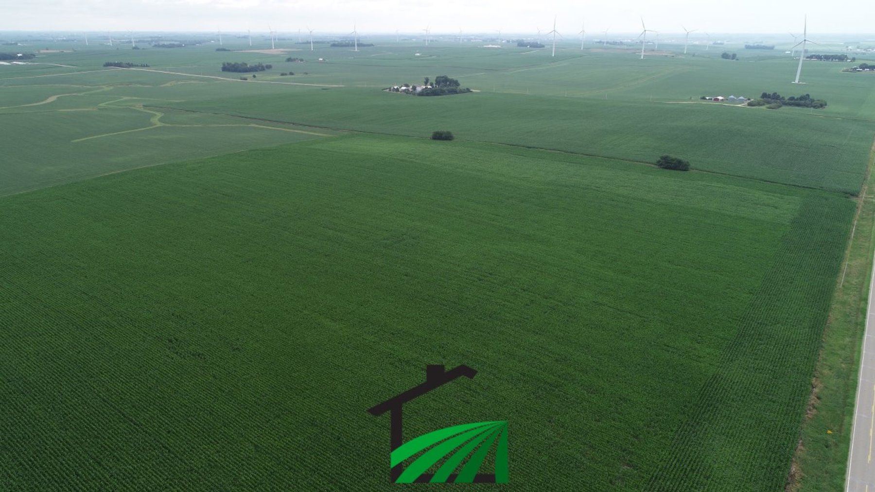 Image for Carroll County, Iowa Farmland Auction