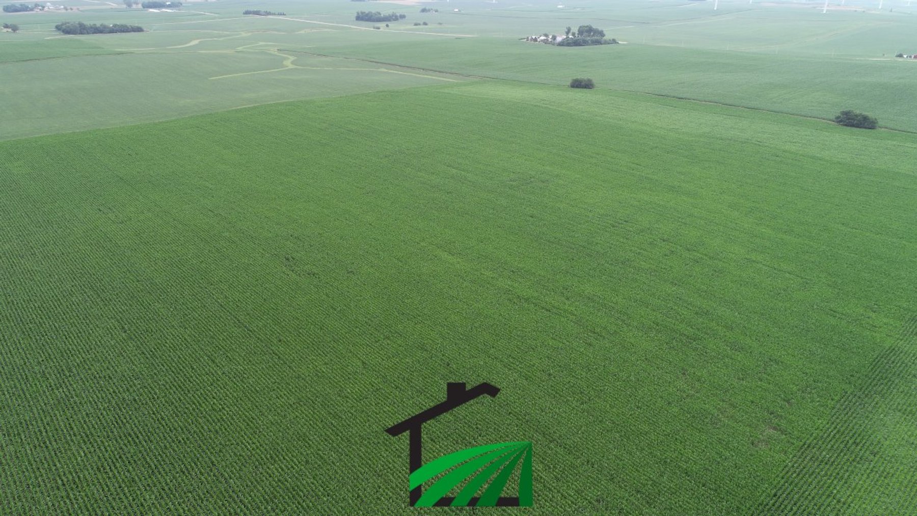 Image for Carroll County, Iowa Farmland Auction