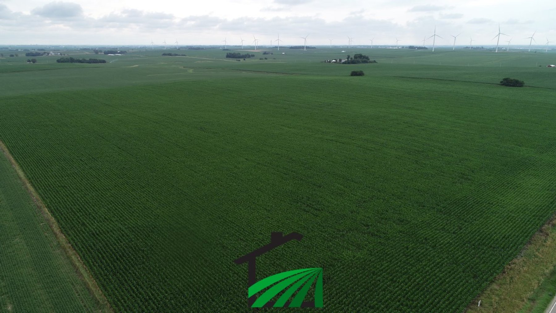 Image for Carroll County, Iowa Farmland Auction