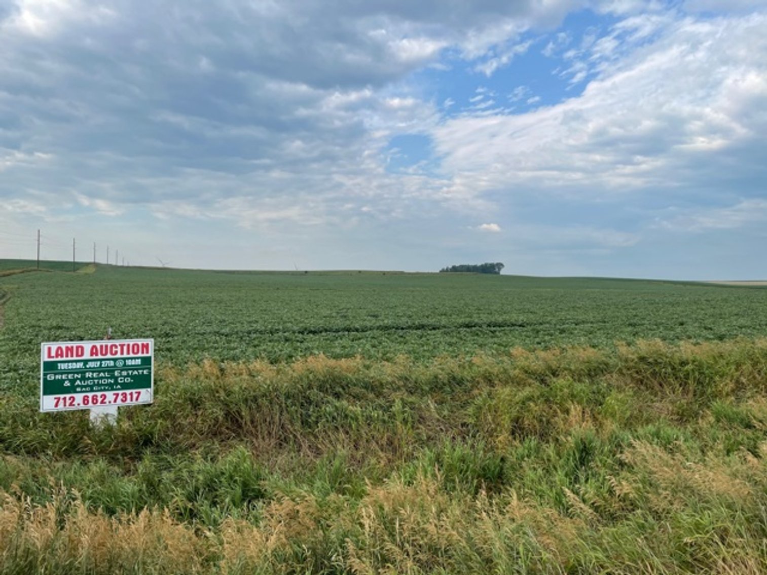 Image for Ida County, IA Farmland Auction