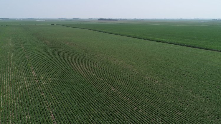 Image for Calhoun County Farmland Auction!