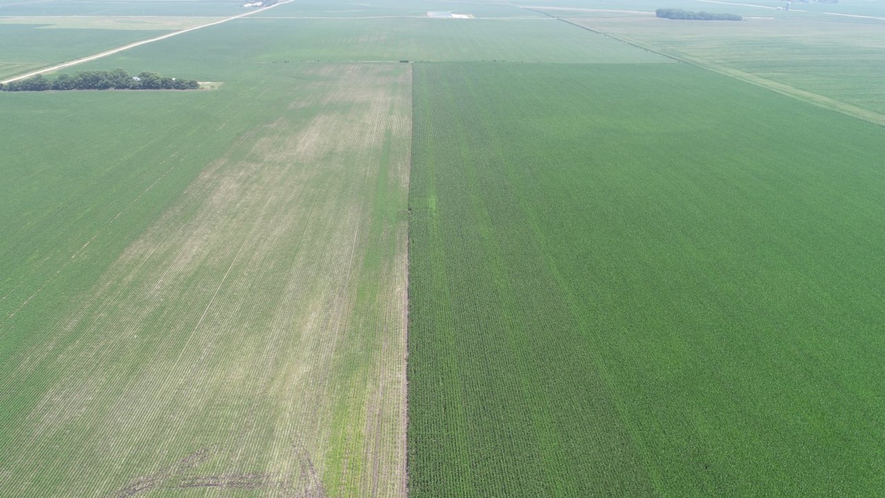 Image for Calhoun County Farmland Auction!