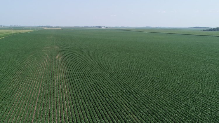 Image for Calhoun County Farmland Auction